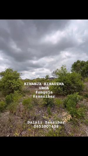 Beach Plot for Sale in Uroa, Zanzibar - Unguja South (15523.33 sqm)