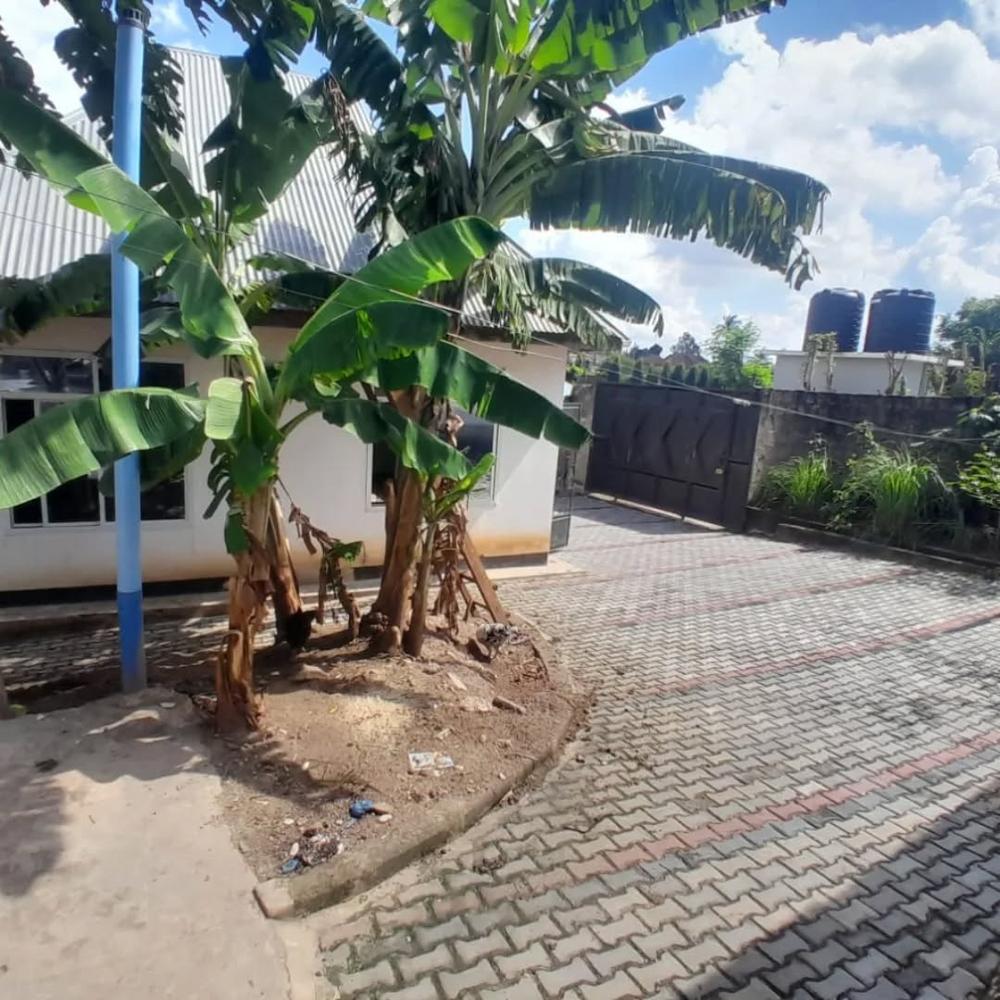 media -8 media -8