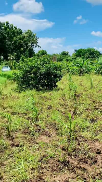 Kiwanja kinauzwa Kerege Chama, Pwani (1.5 acre) Kiwanja kinauzwa Kerege Chama, Pwani (1.5 acre)