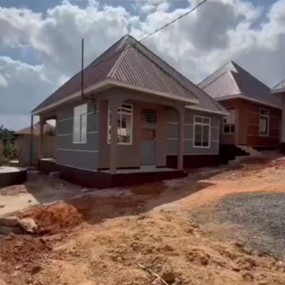 media -6 media -6