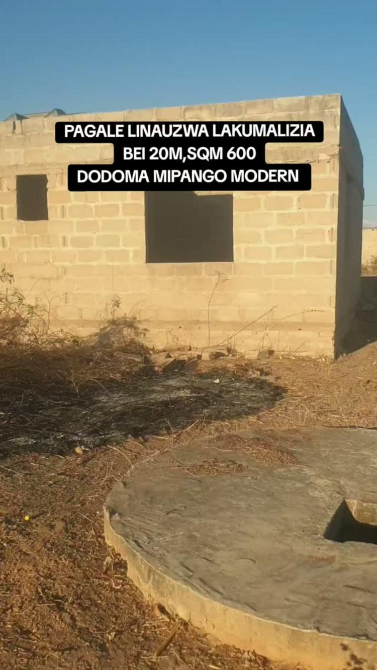 media -1 media -1