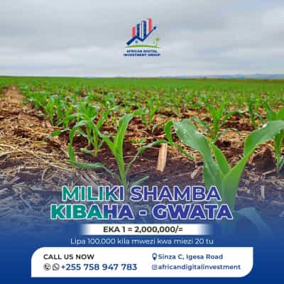 Shamba linauzwa Kibaha-Gwata, Pwani Shamba linauzwa Kibaha-Gwata, Pwani