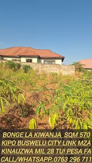 Kiwanja kinauzwa Buswelu, Mwanza Kiwanja kinauzwa Buswelu, Mwanza