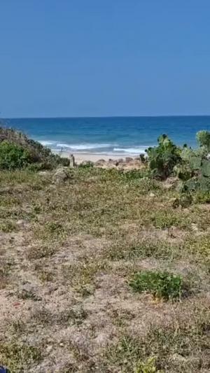 Beach Plot for Sale in Bahari Beach, Dar Es Salaam (8000 sqm) Beach Plot for Sale in Bahari Beach, Dar Es Salaam (8000 sqm)