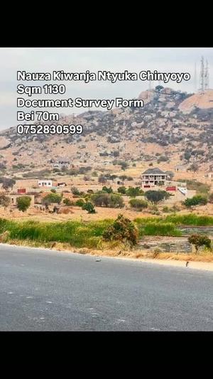 Kiwanja kinauzwa Ntyuka Chinyoyo, Dodoma (1130 sqm) Kiwanja kinauzwa Ntyuka Chinyoyo, Dodoma (1130 sqm)