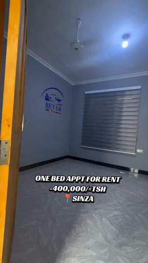 Apartment ya chumba kimoja inapangishwa Sinza Madukani, Dar Es Salaam