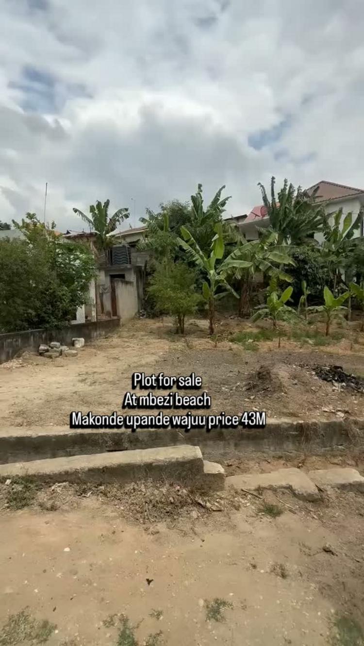 media -1 media -1