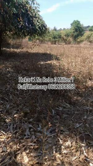 Shamba linauzwa Hasanga, Songwe (1.75 acre) Shamba linauzwa Hasanga, Songwe (1.75 acre)