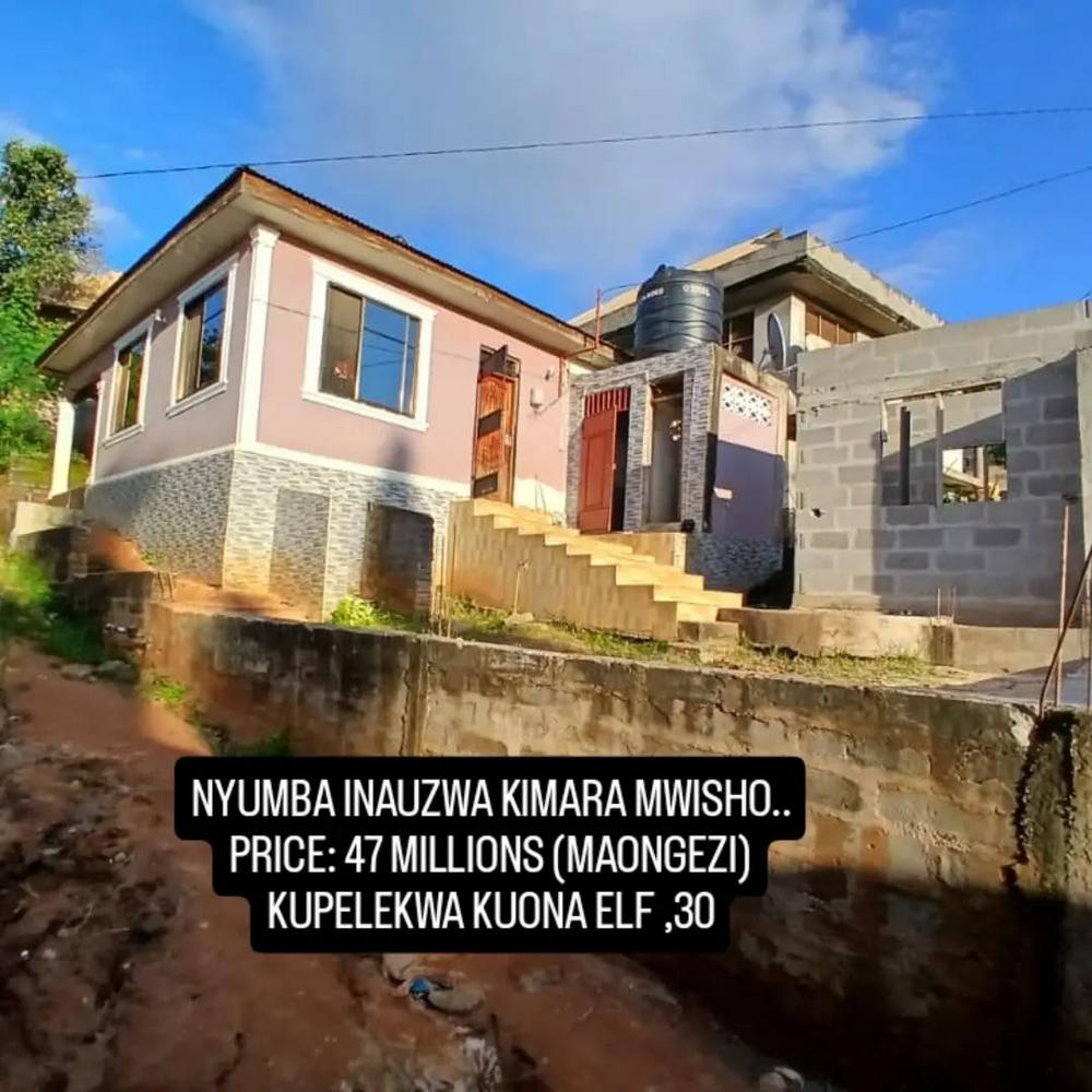 media -1 media -1
