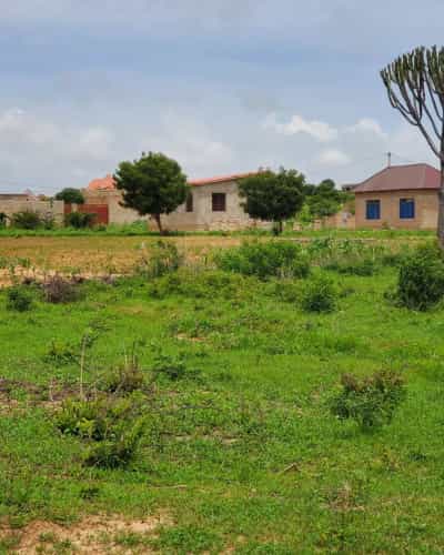 Viwanja vinauzwa Ntyuka Chidachi Center, Dodoma (564 sqm)