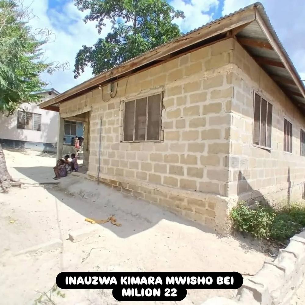 media -1