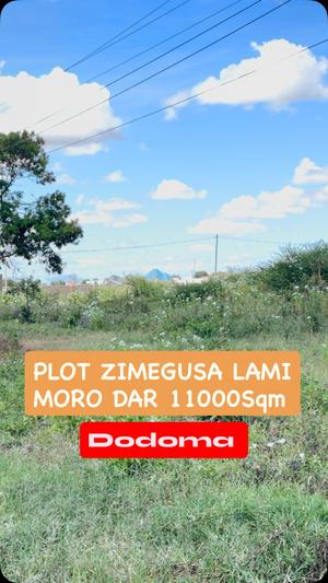 Viwanja vinauzwa Mtumba Stendi, Dodoma sqm 11000
