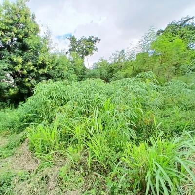 Residential Plot for Sale in Kimara Baruti, Dar Es Salaam (900 sqm)