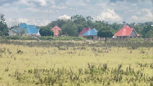 Viwanja vinauzwa Kisesa, Mwanza sqm 440