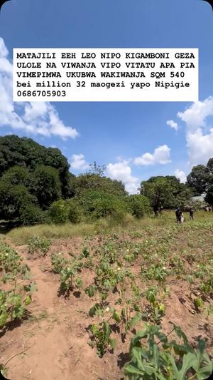 Kiwanja kinauzwa Geza Ulole, Kigamboni, Dar Es Salaam sqm 540 Kiwanja kinauzwa Geza Ulole, Kigamboni, Dar Es Salaam sqm 540