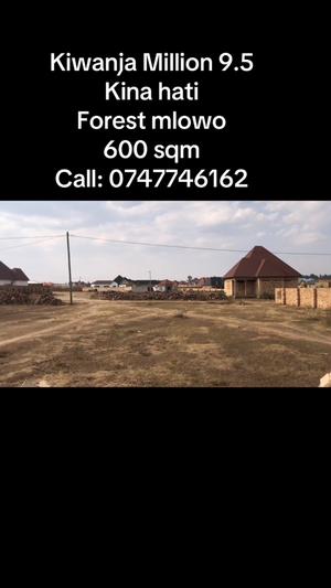 Kiwanja kinauzwa Mlowo, Songwe (600 sqm)