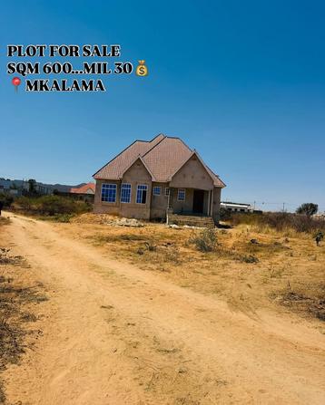 Kiwanja kinauzwa Mkalama Ushauani (600 sqm) Kiwanja kinauzwa Mkalama Ushauani (600 sqm)