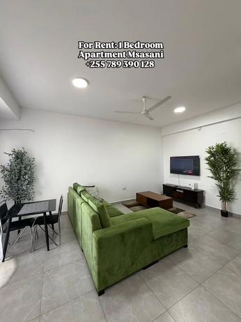 Apartment (Furnished) ya chumba kimoja inapangishwa Msasani, Dar Es Salaam Apartment (Furnished) ya chumba kimoja inapangishwa Msasani, Dar Es Salaam