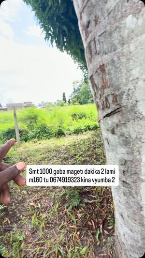 Nyumba ya vyumba viwili inapangishwa Goba Mageti, Dar Es Salaam