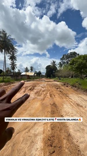 Viwanja vinauzwa Kisota Saranga, Dar Es Salaam sqm 1117