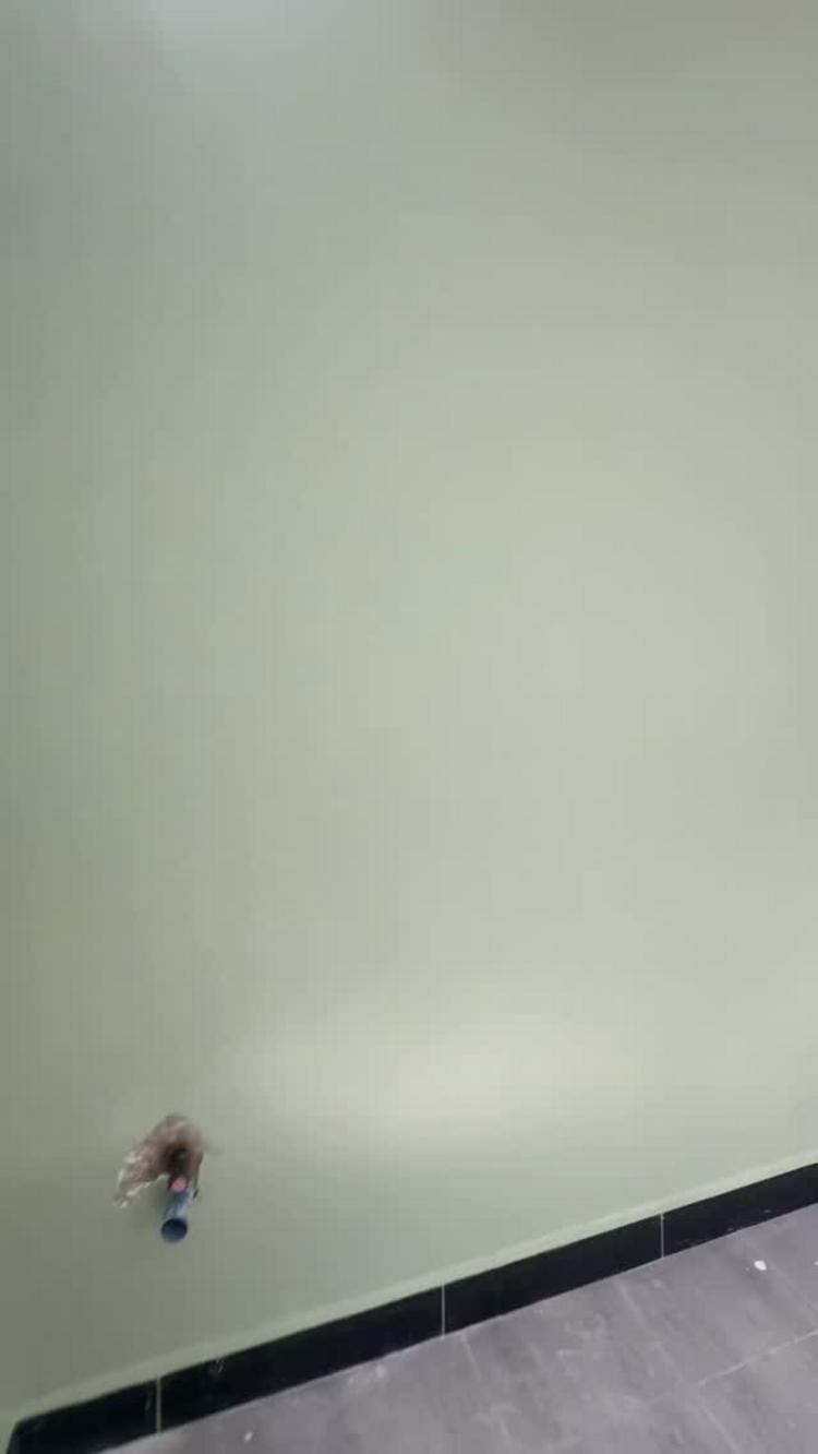 media -3