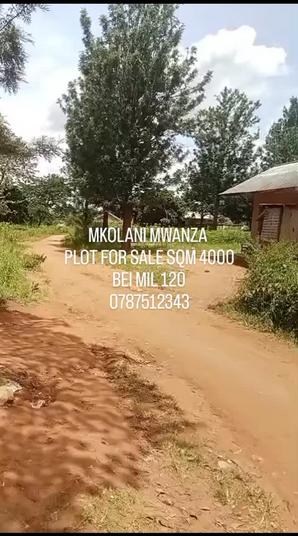 Kiwanja kinauzwa Mkolani Nyabulugoya, Mwanza sqm 4000