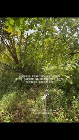 Residential Plot for Sale in Kitogani, Zanzibar - Unguja South (1672 sqm) Residential Plot for Sale in Kitogani, Zanzibar - Unguja South (1672 sqm)