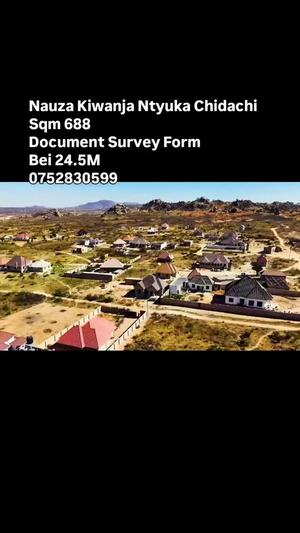 Kiwanja kinauzwa Ntyuka Chidachi, Dodoma (688 sqm) Kiwanja kinauzwa Ntyuka Chidachi, Dodoma (688 sqm)