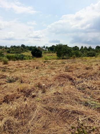 Residential Plots for Sale in Kibaha Kwa Mathias, Pwani (400 sqm) Residential Plots for Sale in Kibaha Kwa Mathias, Pwani (400 sqm)