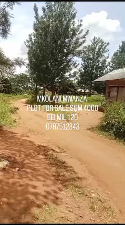Kiwanja kinauzwa Mkolani Nyabulugoya, Mwanza (4000 sqm)