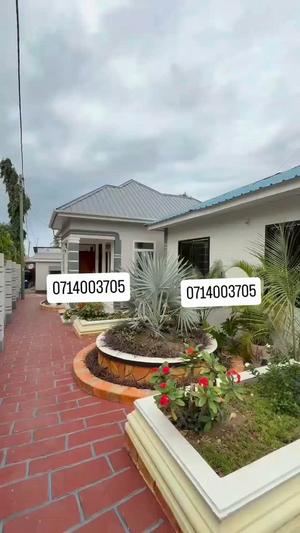 1 Bedroom Apartment for Rent in Mbezi Beach Masana, Dar Es Salaam