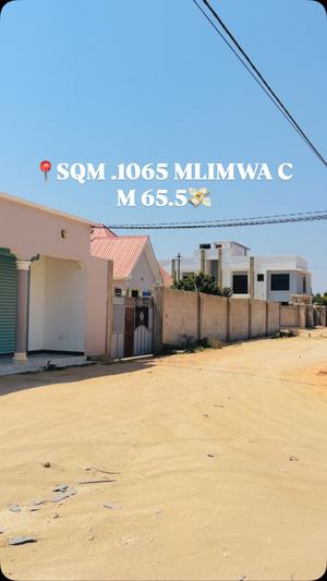 Kiwanja kinauzwa Mlimwa C, Dodoma (1065 sqm) Kiwanja kinauzwa Mlimwa C, Dodoma (1065 sqm)