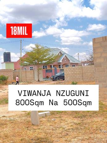 Kiwanja kinauzwa Nzuguni, Dodoma (500 sqm)