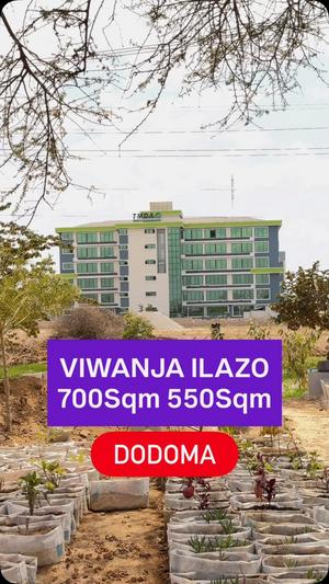 Kiwanja kinauzwa Ilazo, Dodoma (700 sqm)
