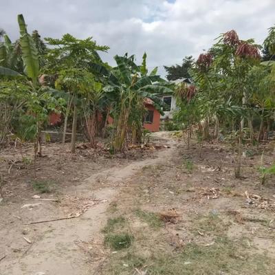 Residential Plot for Sale in Msuguri, Dar Es Salaam (320 sqm)