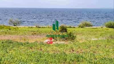 Beach Plot kinauzwa Nyanguge, Mwanza (2 acre) Beach Plot kinauzwa Nyanguge, Mwanza (2 acre)