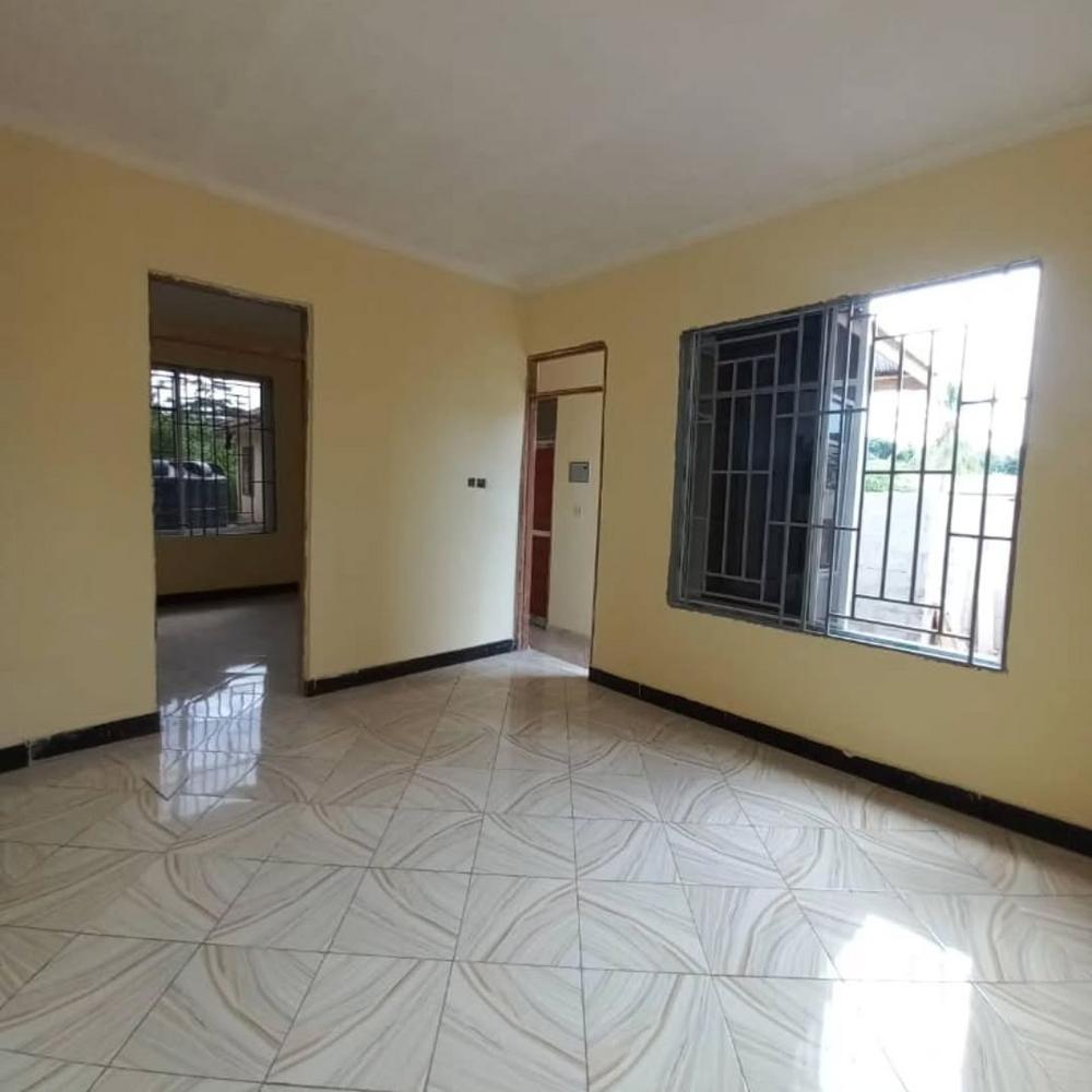 media -5