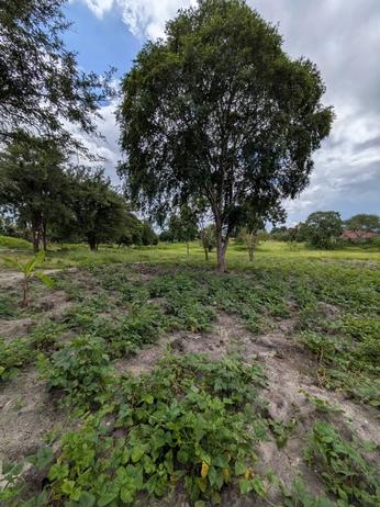 Kiwanja kinauzwa Kibaha Loliondo, Pwani sqm 600
