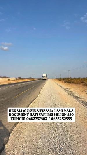 Kiwanja (Residential/Commercial) kinauzwa Nala, Dodoma (4 acre)