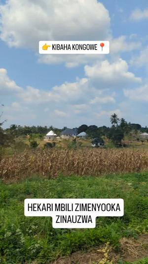 Farm for sale in Kibaha Kongowe, Pwani acre 2 Farm for sale in Kibaha Kongowe, Pwani acre 2