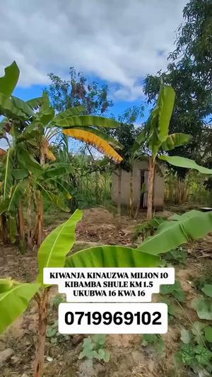 Kiwanja kinauzwa Kibamba Shule, Dar Es Salaam (256 sqm)