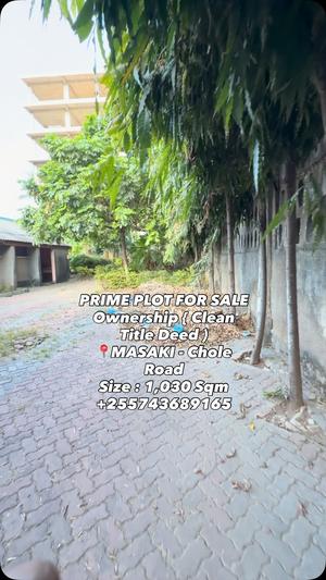 Kiwanja kinauzwa Masaki, Dar Es Salaam sqm 1030