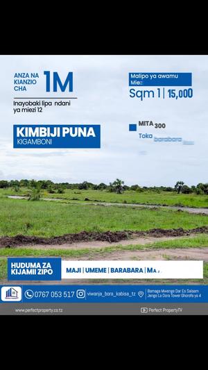 Viwanja vinauzwa Kimbiji Puna, Dar Es Salaam sqm 500 Viwanja vinauzwa Kimbiji Puna, Dar Es Salaam sqm 500