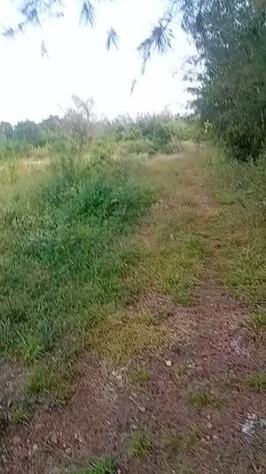 Plot for sale in Uroa, Zanzibar - Unguja South sqm 3000 Plot for sale in Uroa, Zanzibar - Unguja South sqm 3000
