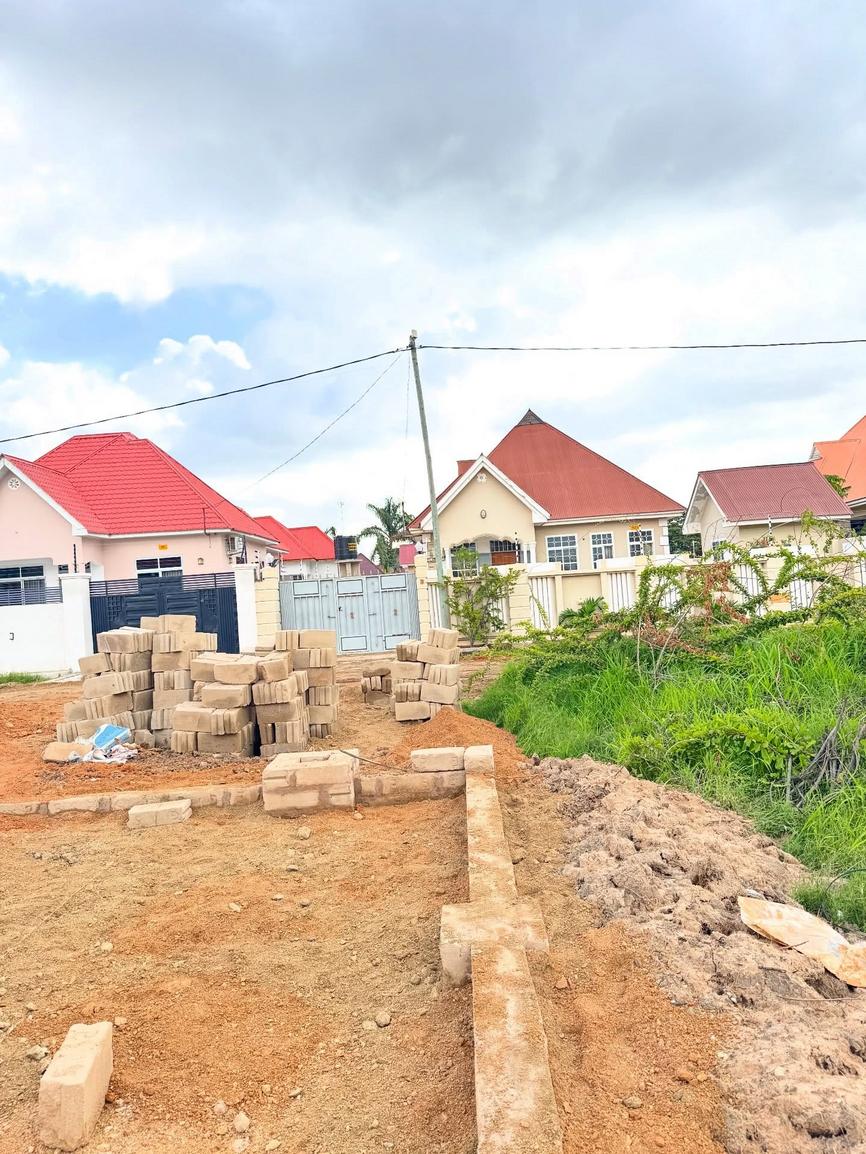 media -5