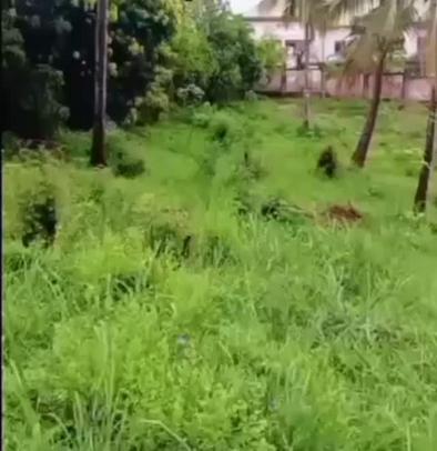 Residential/Commercial Plot for Sale in Kimara Temboni, Dar Es Salaam (2000 sqm) Residential/Commercial Plot for Sale in Kimara Temboni, Dar Es Salaam (2000 sqm)