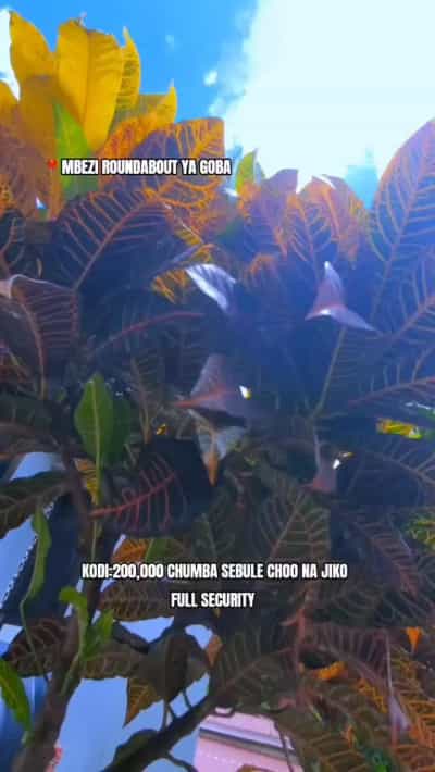 Apartment ya chumba kimoja inapangishwa Mbezi Mwisho, Dar Es Salaam