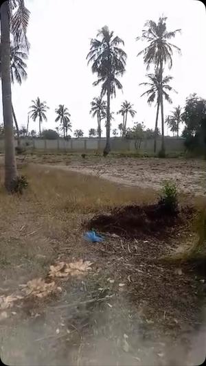Beach Plot kinauzwa Bagamoyo, Pwani (5 acre) Beach Plot kinauzwa Bagamoyo, Pwani (5 acre)