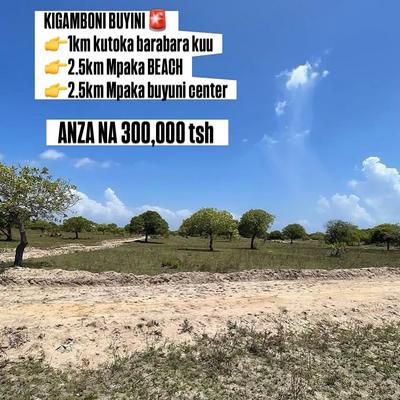 Plots for sale in Buyuni, Dar Es Salaam Plots for sale in Buyuni, Dar Es Salaam