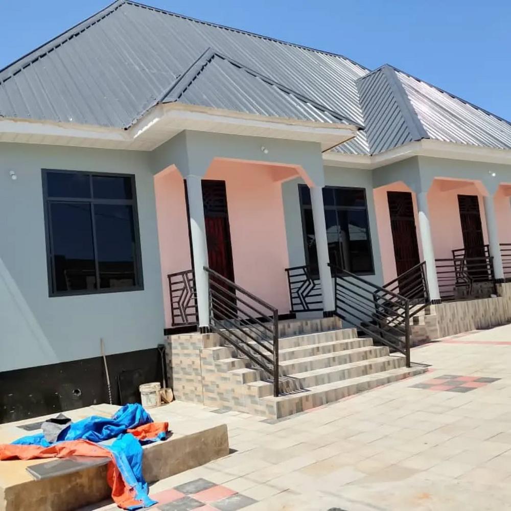media -6 media -6